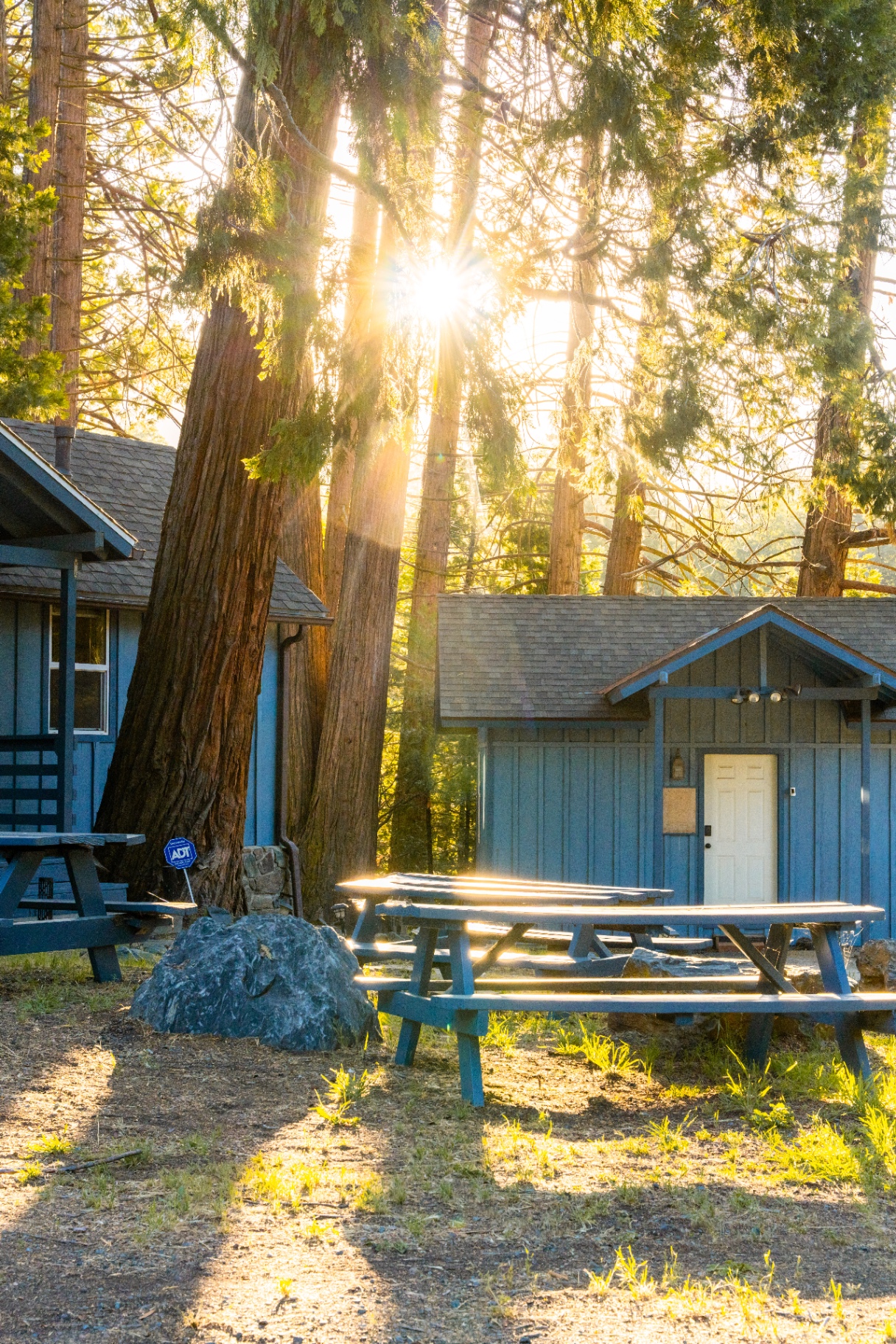 Sunlight across the cabins and shared outdoor area