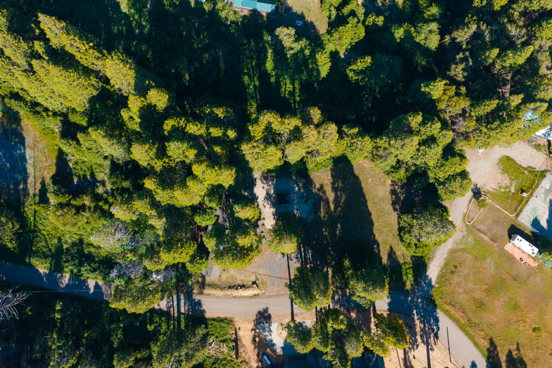 Top-down aerial view of the property and surrounding trees