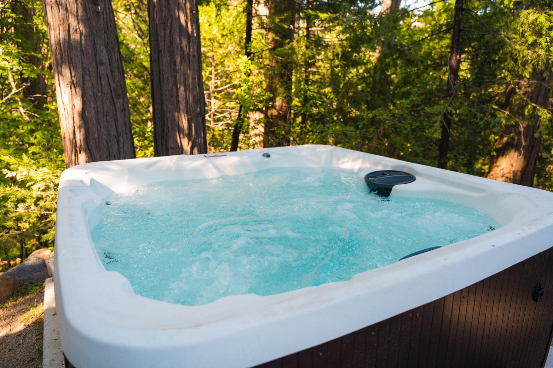 Hot tub tucked among tall trees